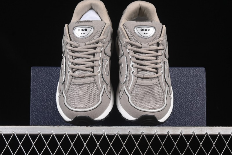 Dior B30 CD Sneakers - AJE5