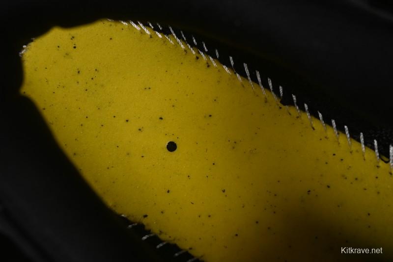 Fila Heritage Fluid Cat Paw 5.0 Retro Dad Shoes with Lace-Up Design - F12M412105FBK