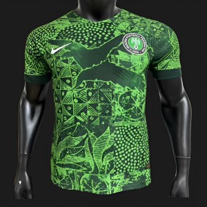 Player Version 2022 Nigeria Green Jersey